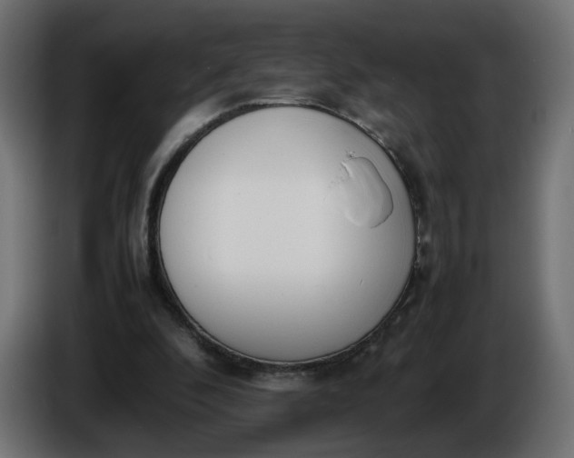 X0000086340296200704131749