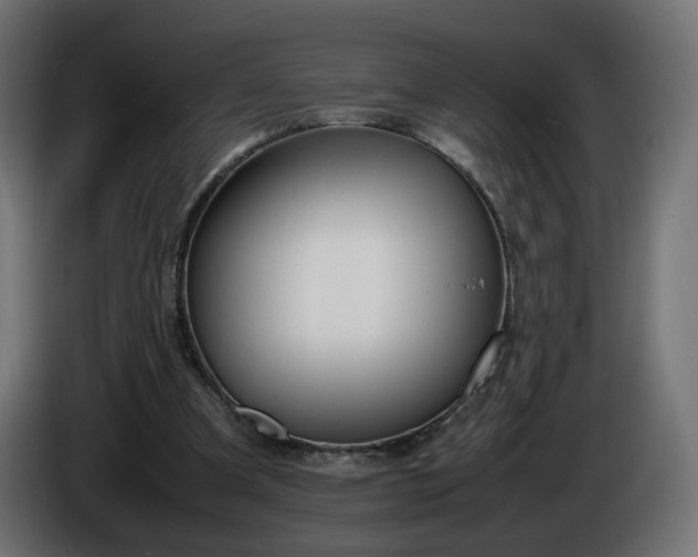 X0000086340297200704131749