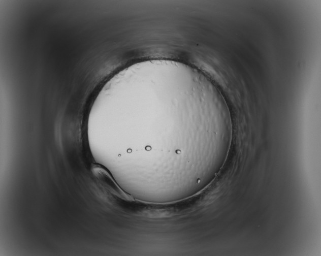 X0000086340299200704131749