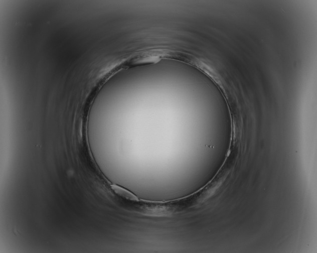 X0000086340301200704131749