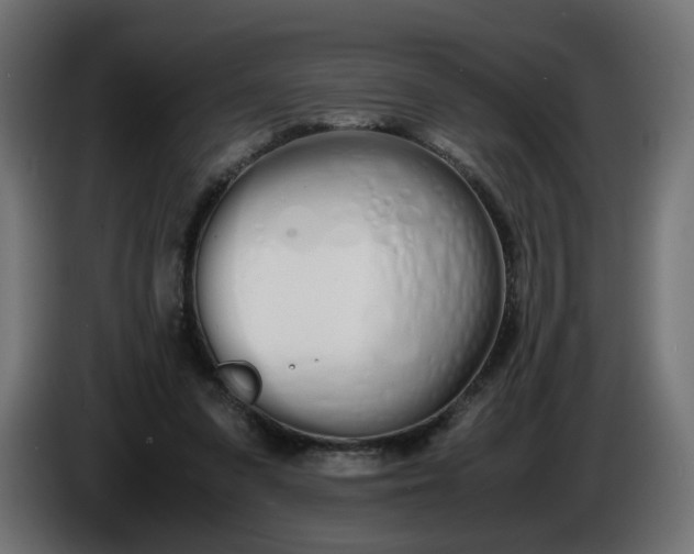 X0000086340303200704131749