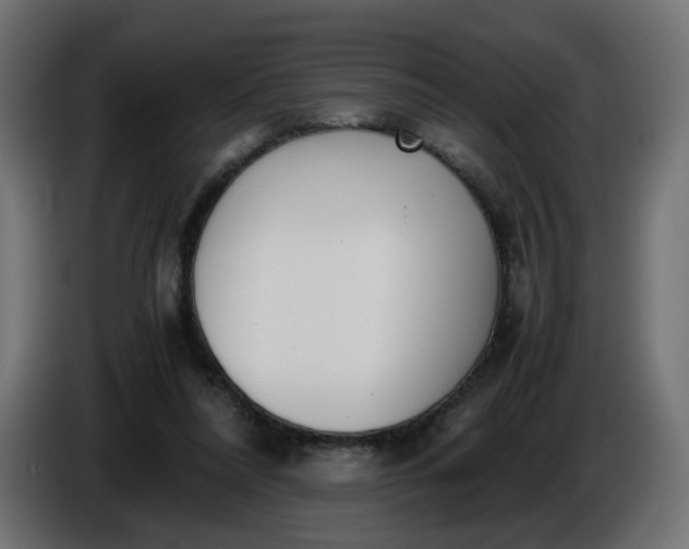 X0000086340304200704131749
