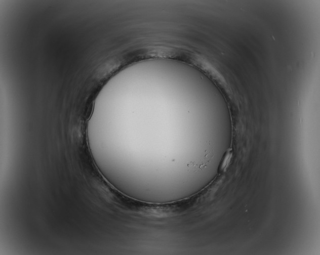 X0000086340305200704131749