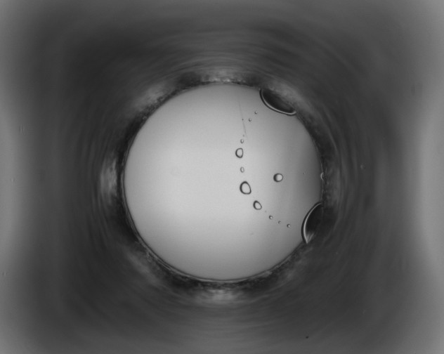 X0000086340310200704131749