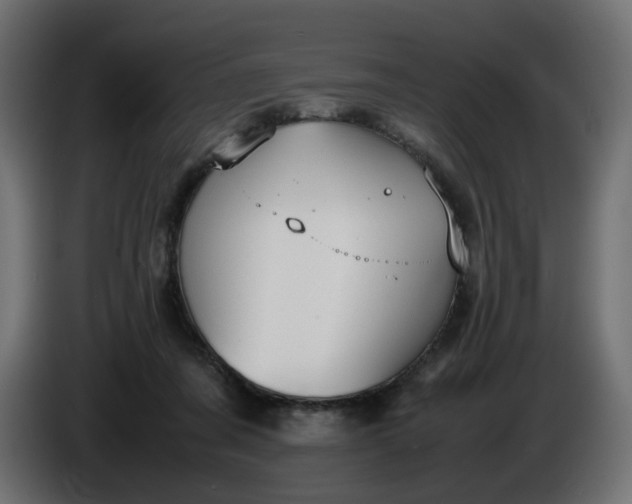 X0000086340311200704131749