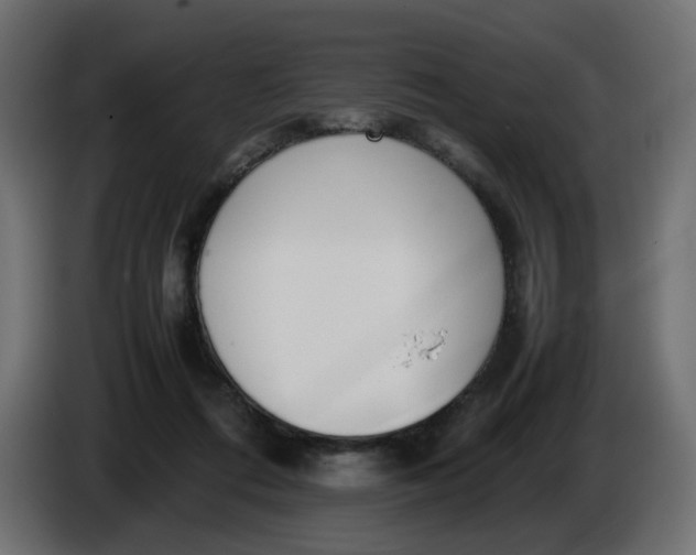 X0000086340312200704131749