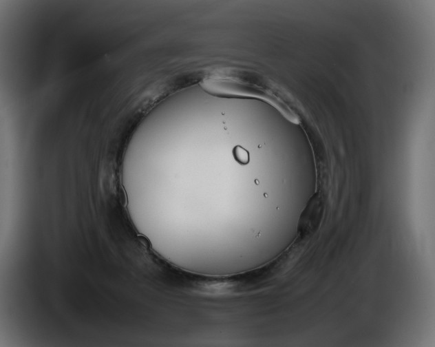 X0000086340313200704131749