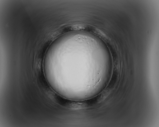 X0000086340315200704131749