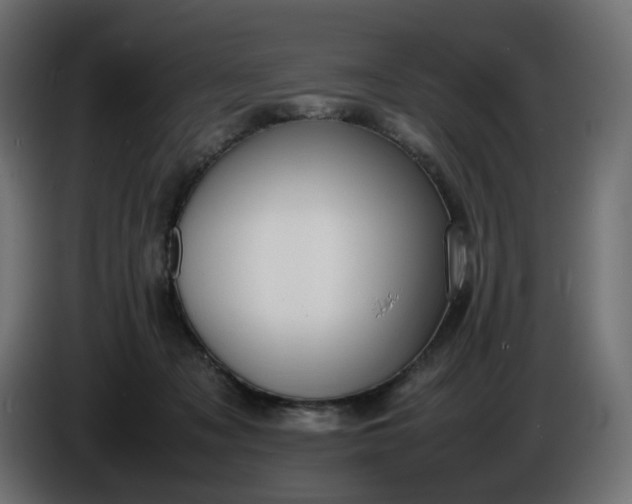 X0000086340317200704131749