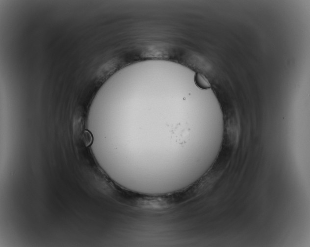 X0000086340322200704131749