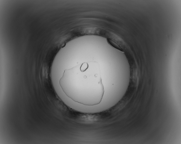 X0000086340326200704131749