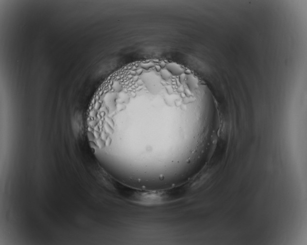 X0000086340335200704131749