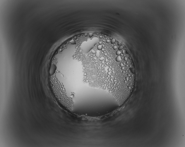 X0000086340337200704131748