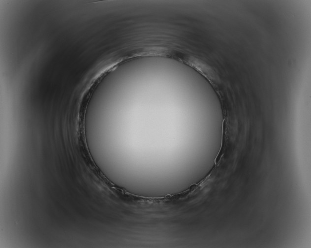 X0000086340338200704131748