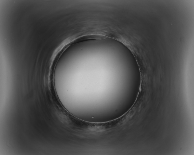 X0000086340340200704131748