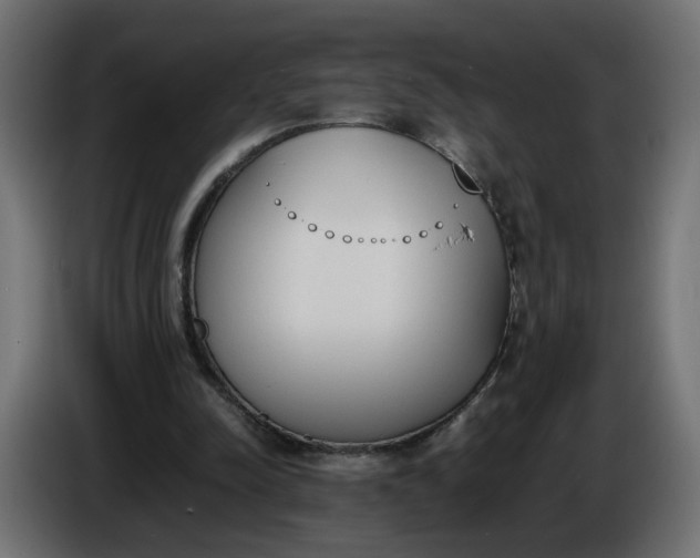 X0000086340342200704131748