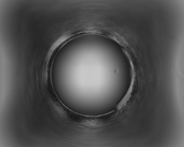 X0000086340344200704131748