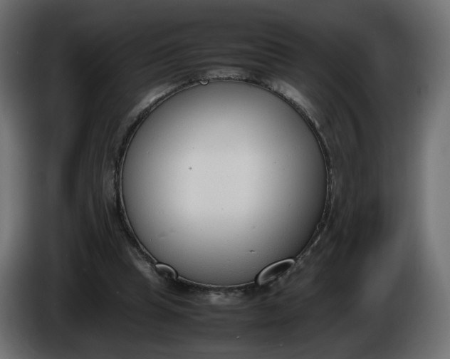 X0000086340345200704131748