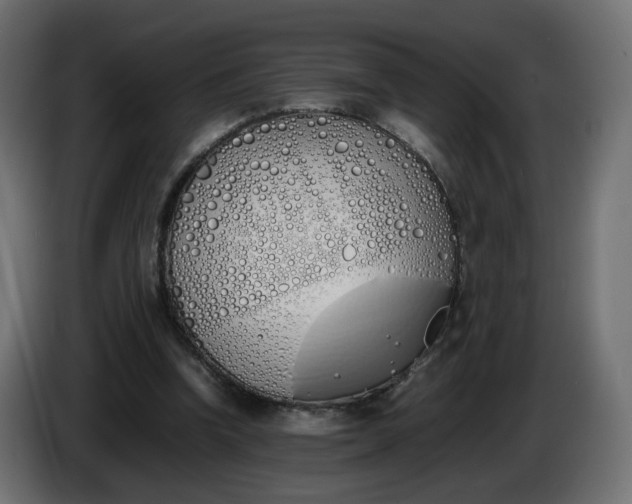 X0000086340346200704131748