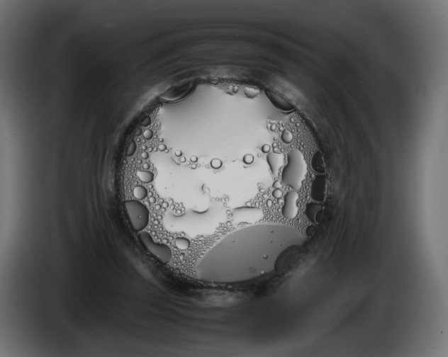 X0000086340347200704131748
