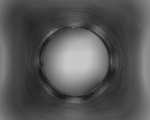 X0000086340348200704131748