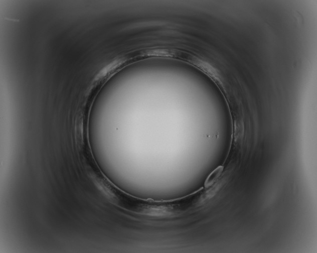 X0000086340349200704131748