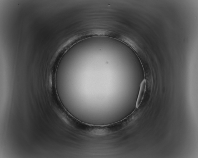 X0000086340350200704131748