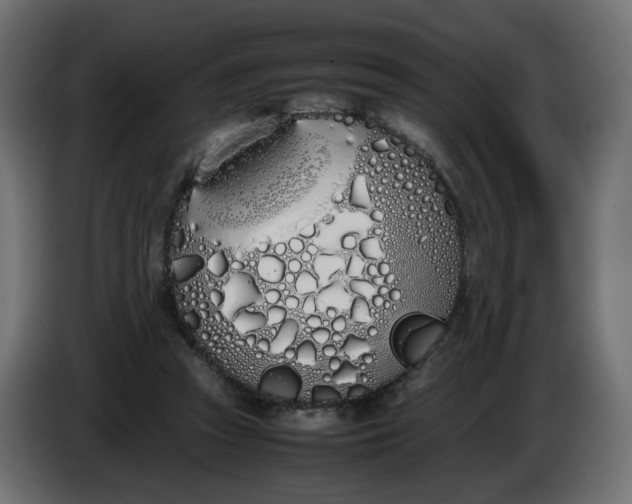 X0000086340353200704131748