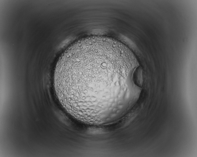 X0000086340354200704131748