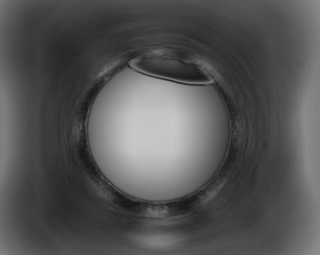 X0000086340355200704131748