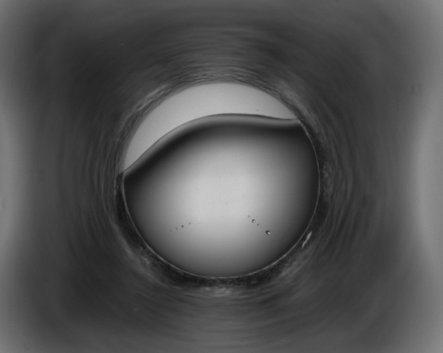 X0000086340356200704131748