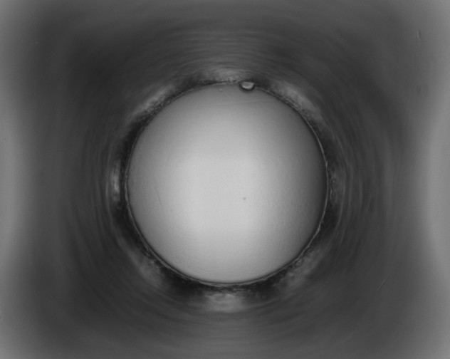X0000086340358200704131748