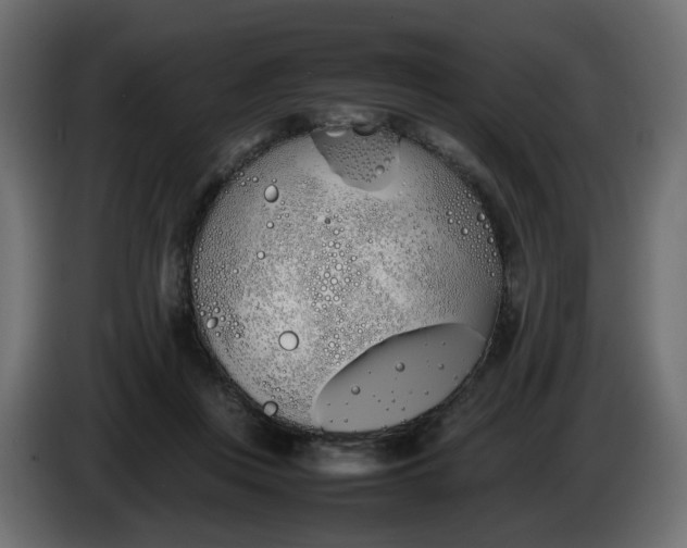 X0000086340359200704131748
