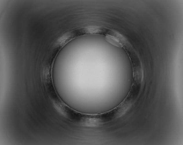X0000086340360200704131748