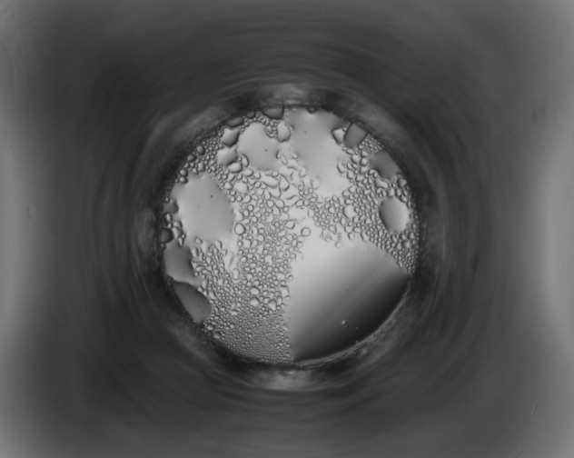 X0000086340361200704131748