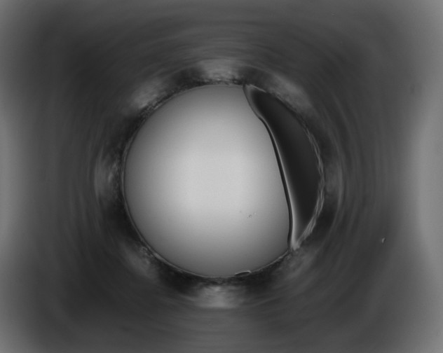 X0000086340364200704131749
