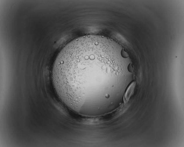 X0000086340366200704131749
