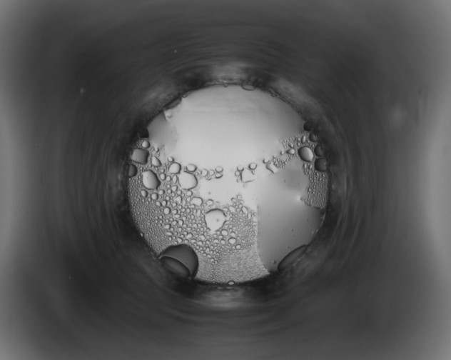 X0000086340369200704131749
