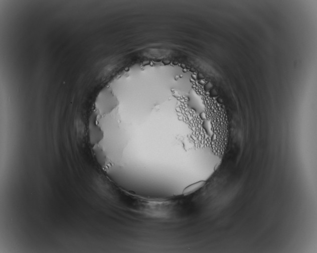 X0000086340371200704131749