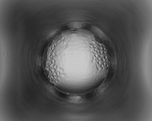 X0000086340374200704131749