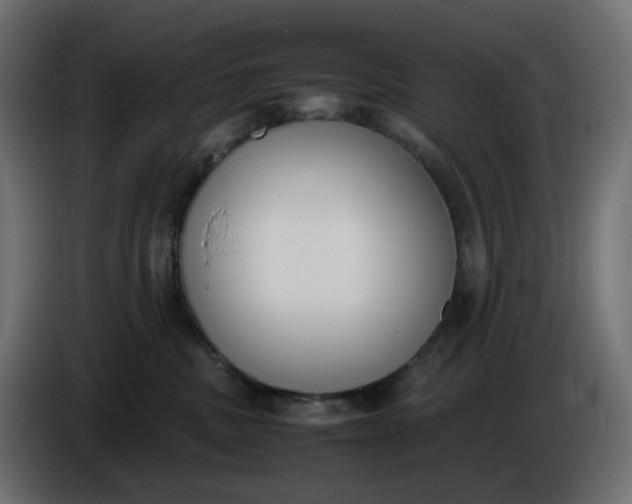 X0000086340379200704131749