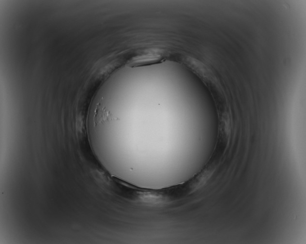 X0000086340380200704131749