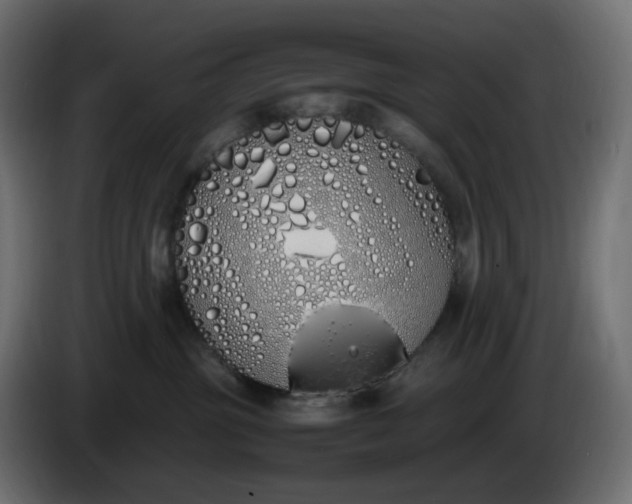X0000086340381200704131749