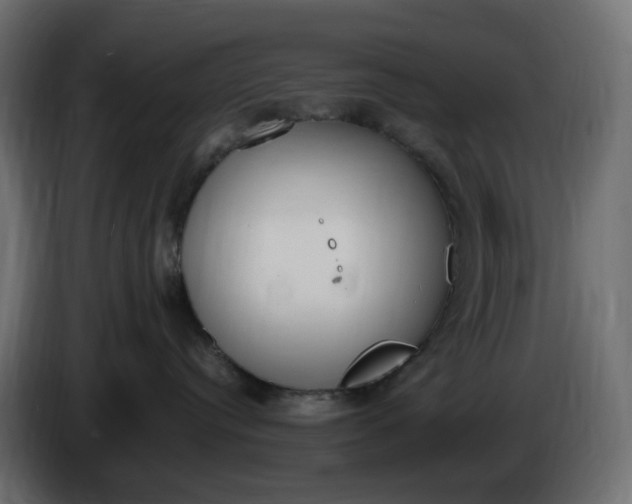 X0000086340384200704131749