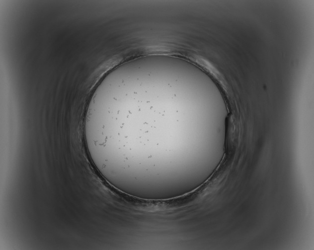 X0000086340385200704131748