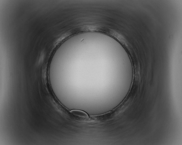 X0000086340386200704131748