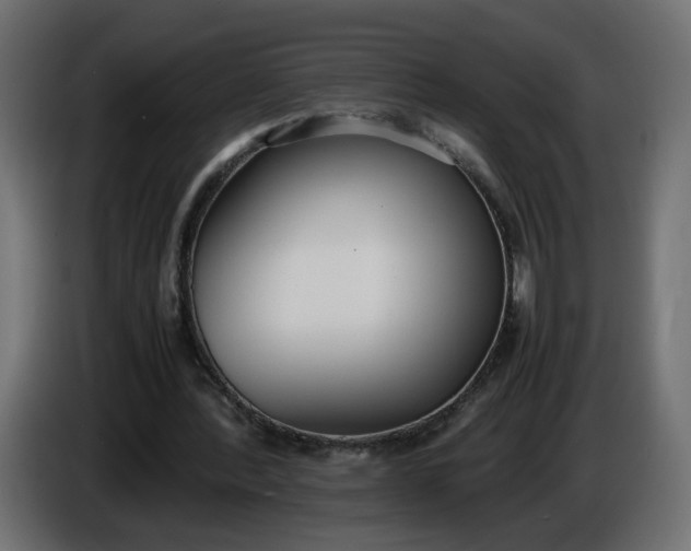 X0000086340388200704131748