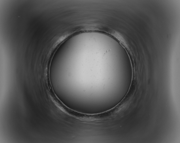 X0000086340389200704131748