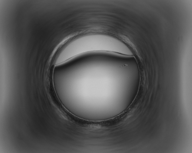 X0000086340392200704131748