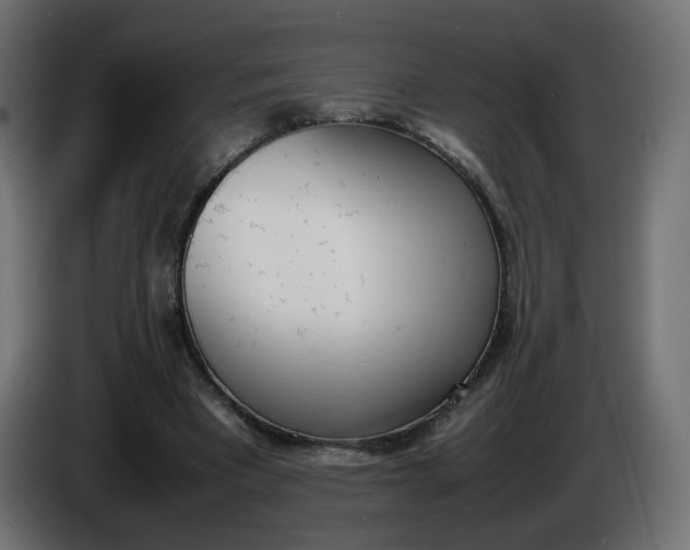 X0000086340393200704131748